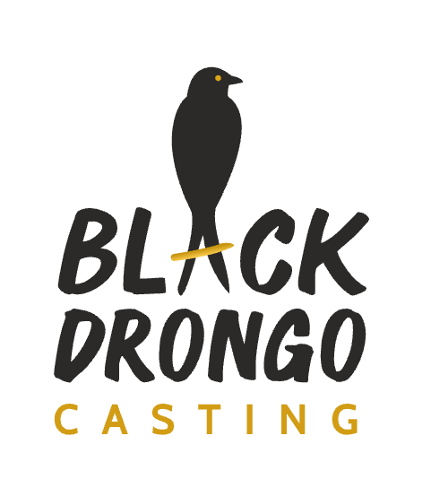 Black Drongo
